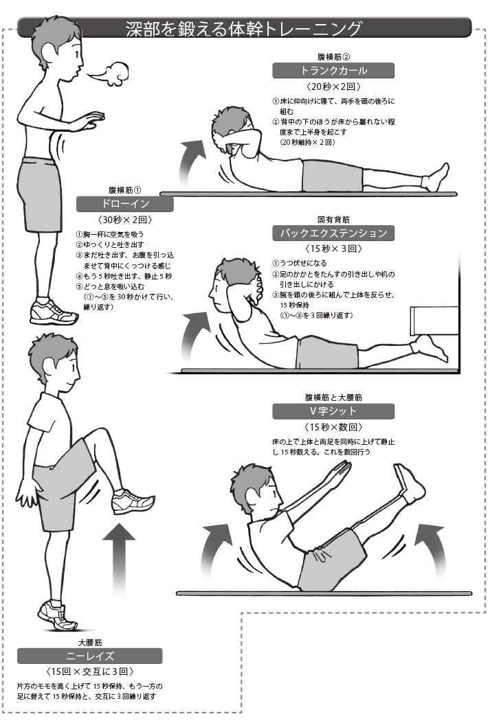 腹 横筋 トレーニング